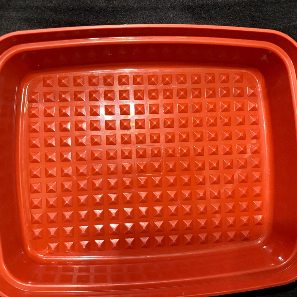 Tupperware Paprika Season N Serve Bottom 10" Only #1518-4
